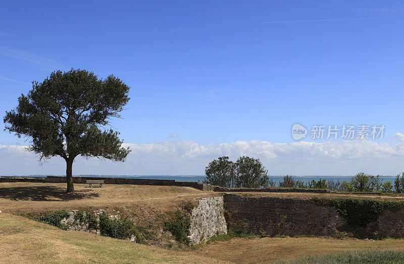 Le Chateau d要塞的遗迹'Oléron